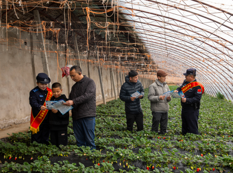 新疆伊犁：“莓”好生活 與法同行